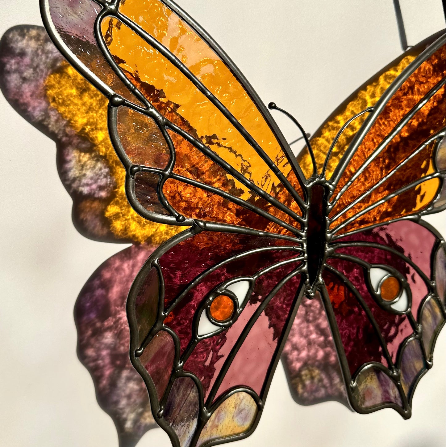 Autumn Moth